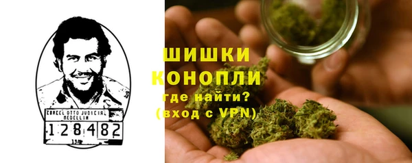 тгк Арсеньев