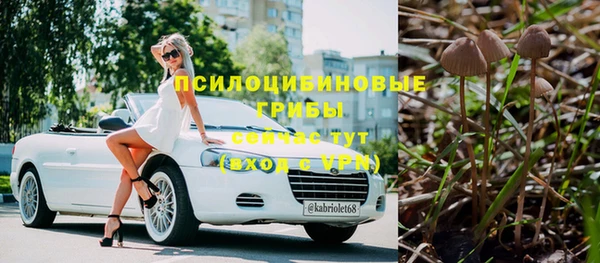 тгк Арсеньев