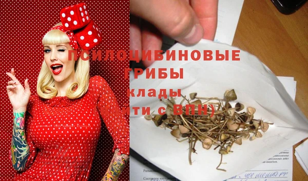 марки lsd Пересвет