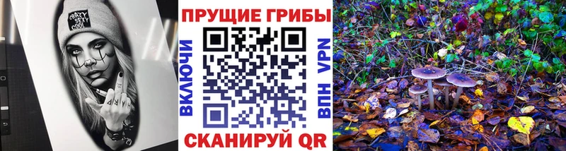 Галлюциногенные грибы прущие грибы  купить закладку  Кубинка 
